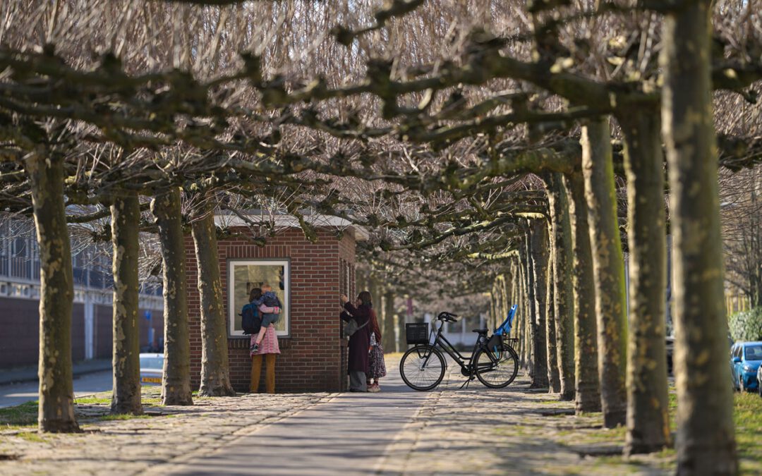 Geluidswandeling onder leiding van Uli Kürner